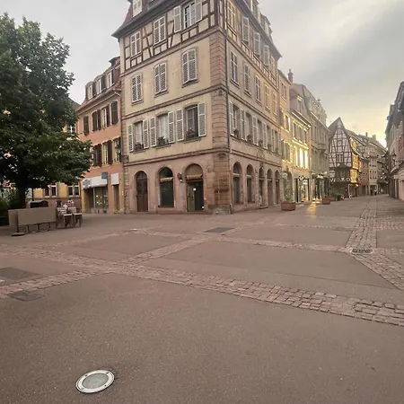 Апартаменти Cosy Centre-ville Colmar-ascenseur & Parking Prive En Sous Sol *