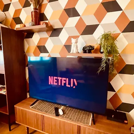 La Colmarina Cosy 1 Bedroom Flat- Elevator Wifi & Private Parking-keybox Colmar