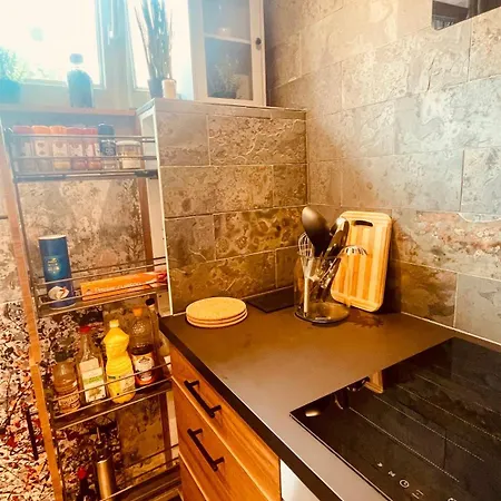 La Colmarina Cosy 1 Bedroom Flat- Elevator Wifi & Private Parking-keybox Daire Colmar