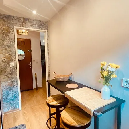 Apartment La Colmarina Cosy 1 Bedroom Flat- Elevator Wifi & Private Parking-keybox Colmar