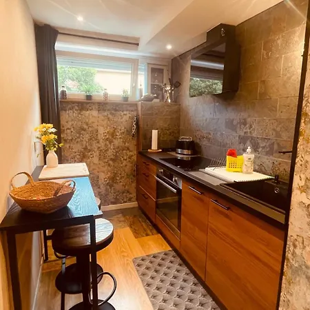 La Colmarina Cosy 1 Bedroom Flat- Elevator Wifi & Private Parking-keybox Colmar