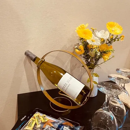 Apartment La Colmarina Cosy 1 Bedroom Flat- Elevator Wifi & Private Parking-keybox