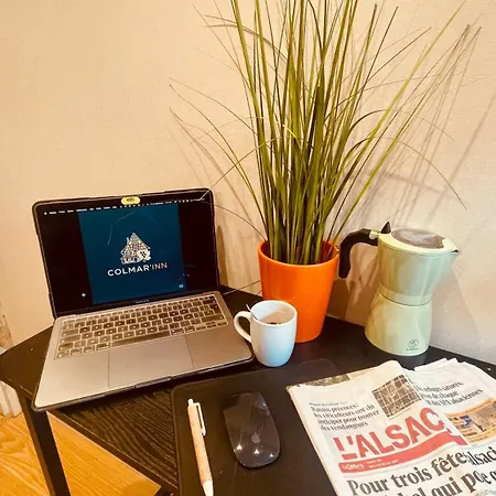 La Colmarina Cosy 1 Bedroom Flat- Elevator Wifi & Private Parking-keybox Daire Colmar