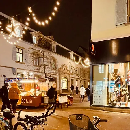 Daire La Colmarina Cosy 1 Bedroom Flat- Elevator Wifi & Private Parking-keybox *