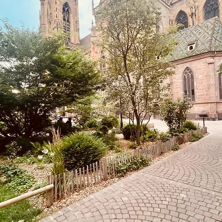 La Colmarina Cosy 1 Bedroom Flat- Elevator Wifi & Private Parking-keybox *