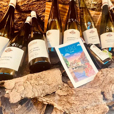 Apartment La Colmarina Cosy 1 Bedroom Flat- Elevator Wifi & Private Parking-keybox *