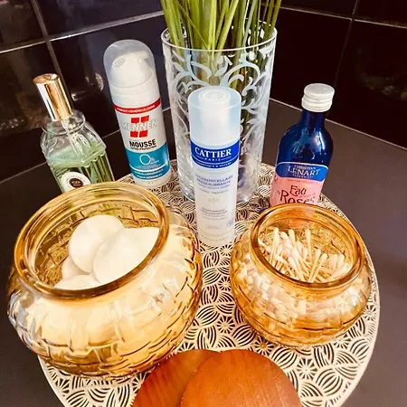 Apartment La Colmarina Cosy 1 Bedroom Flat- Elevator Wifi & Private Parking-keybox Colmar