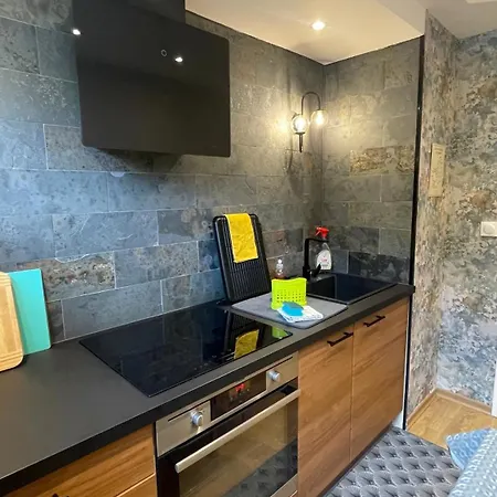 La Colmarina Cosy 1 Bedroom Flat- Elevator Wifi & Private Parking-keybox Daire Colmar