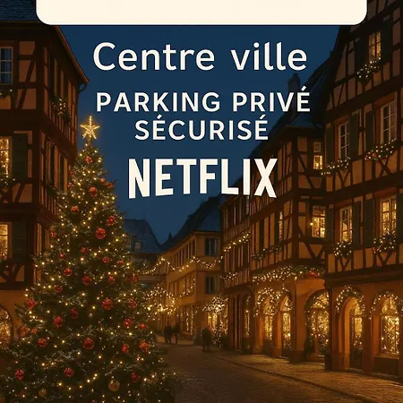 La Colmarina Cosy 1 Bedroom Flat- Elevator Wifi & Private Parking-keybox *