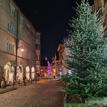 La Colmarina Cosy 1 Bedroom Flat- Elevator Wifi & Private Parking-keybox Apartment *