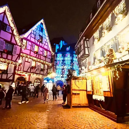 La Colmarina Cosy 1 Bedroom Flat- Elevator Wifi & Private Parking-keybox Apartment