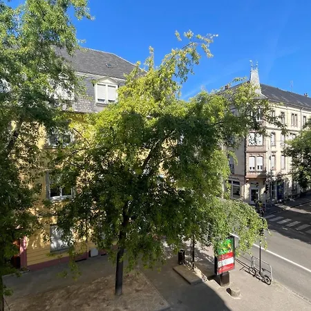 Apartament Cosy Centre-ville Colmar-ascenseur & Parking Prive En Sous Sol Colmar