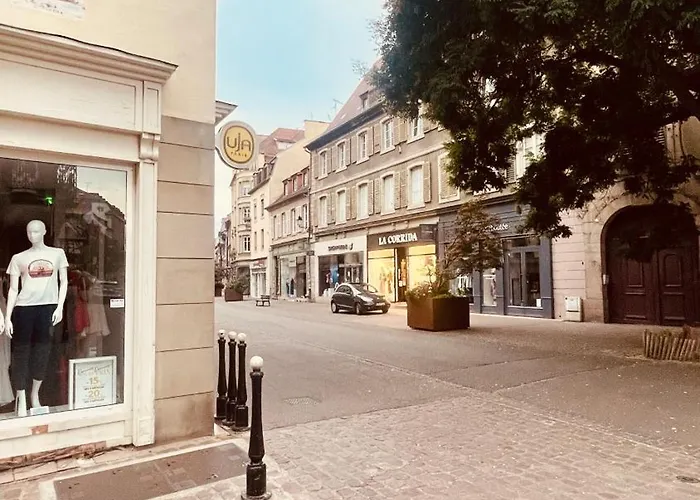 Cosy Centre-ville Colmar-ascenseur & Parking Prive En Sous Sol *
