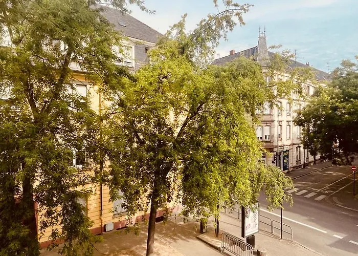 Apartament Cosy Centre-ville Colmar-ascenseur & Parking Prive En Sous Sol