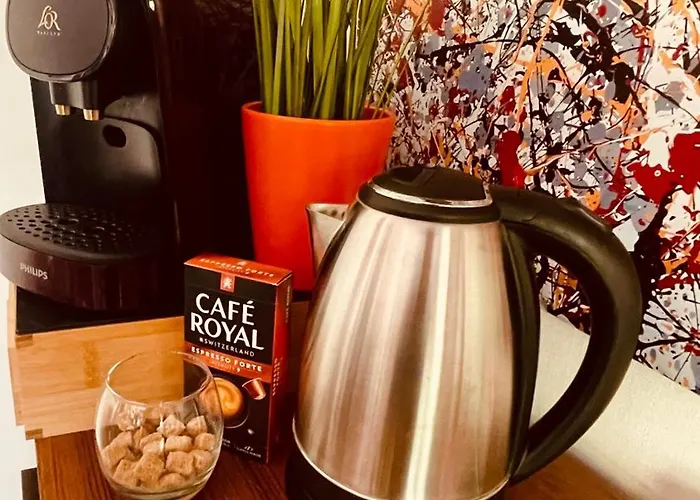 Apartamento Cosy Centre-ville Colmar-ascenseur & Parking Prive En Sous Sol *