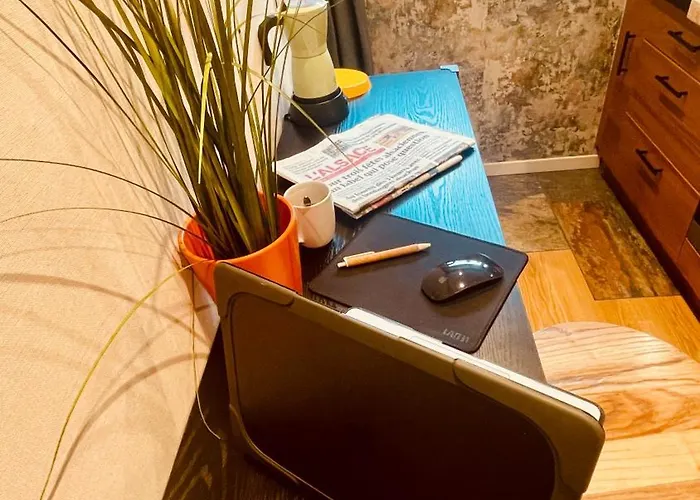 Apartamento Cosy Centre-ville Colmar-ascenseur & Parking Prive En Sous Sol *