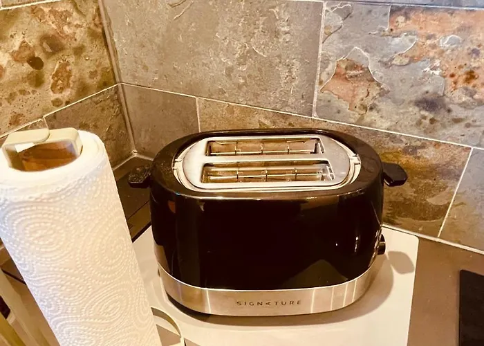 Cosy Centre-ville Colmar-ascenseur & Parking Prive En Sous Sol Apartament