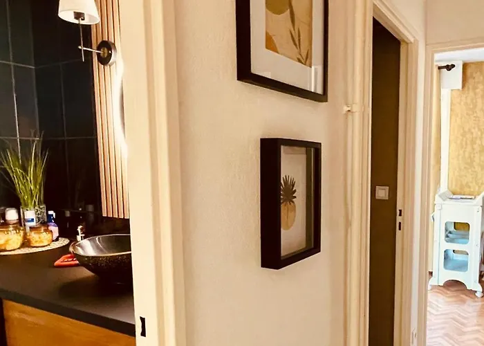 Cosy Centre-ville Colmar-ascenseur & Parking Prive En Sous Sol