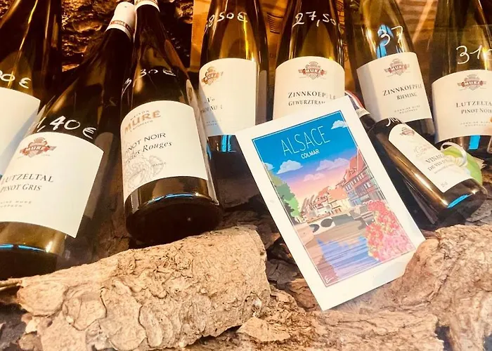 Apartamento Cosy Centre-ville Colmar-ascenseur & Parking Prive En Sous Sol *