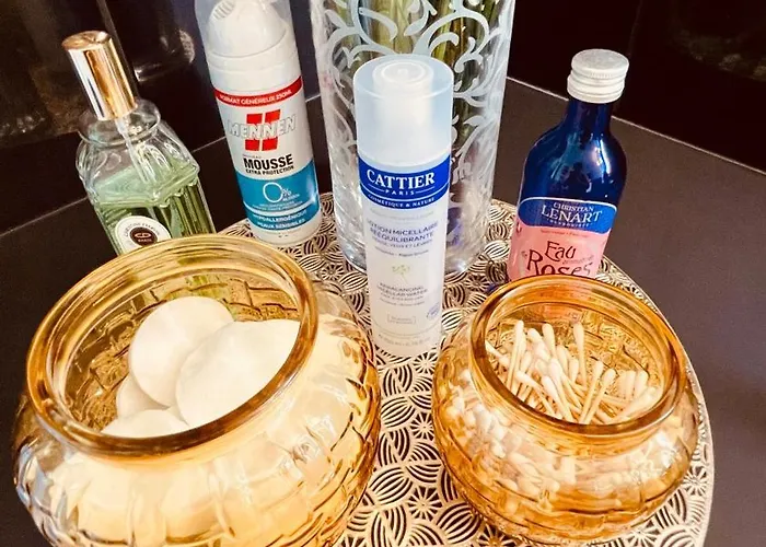 Apartament Cosy Centre-ville Colmar-ascenseur & Parking Prive En Sous Sol Colmar